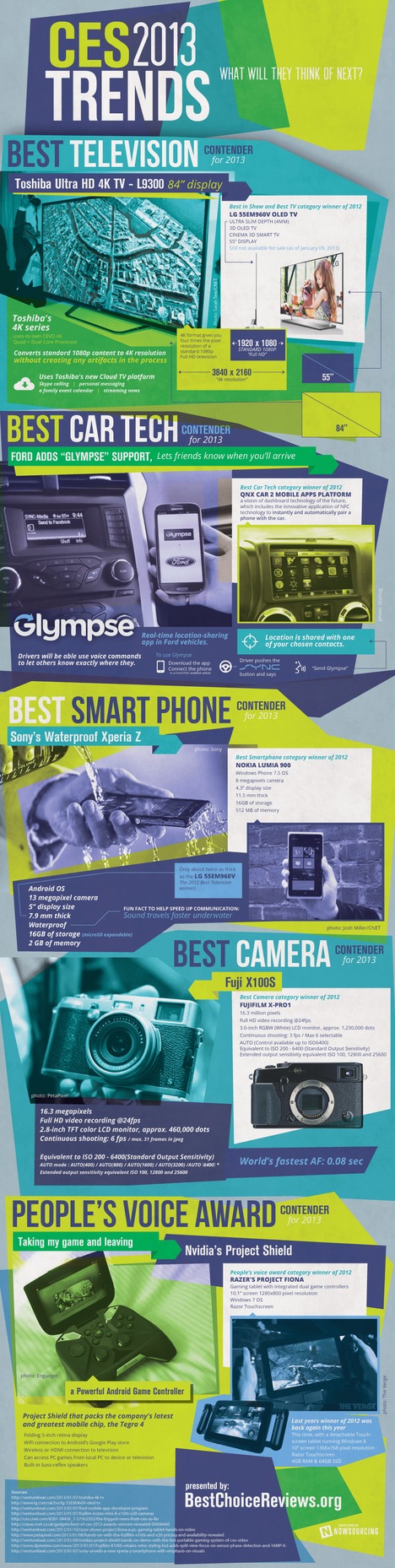 CES Trends 2013 (Infographic)