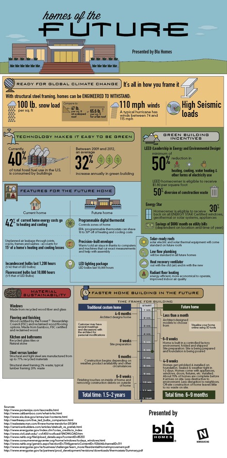 Homes of the Future (Infographic)