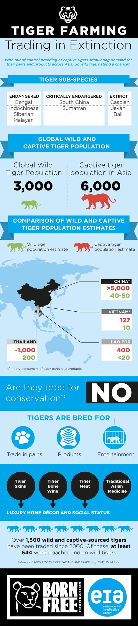 Tiger Farming: Trading in Extinction