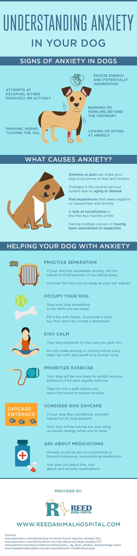 Understanding Anxiety in Your Dog