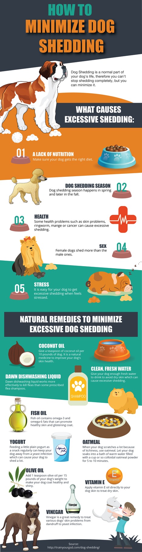 How to Minimize Dog Shedding 