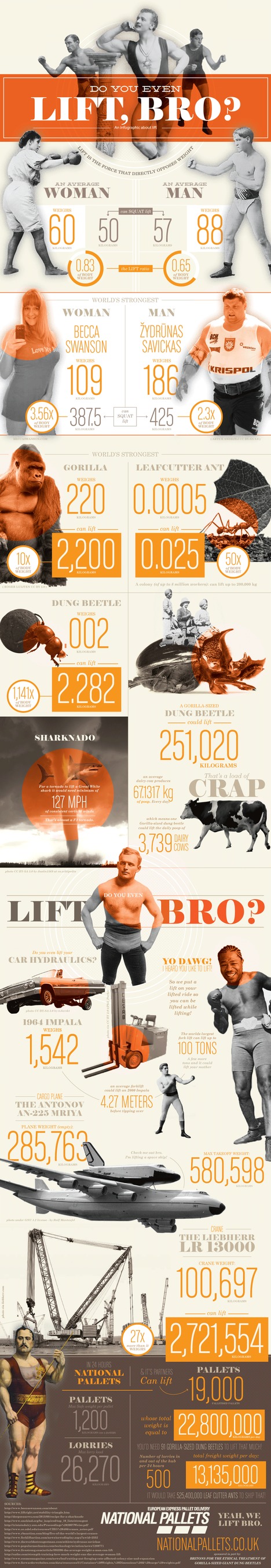 Do you even lift, Bro?