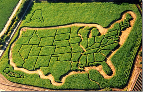 USA Maze