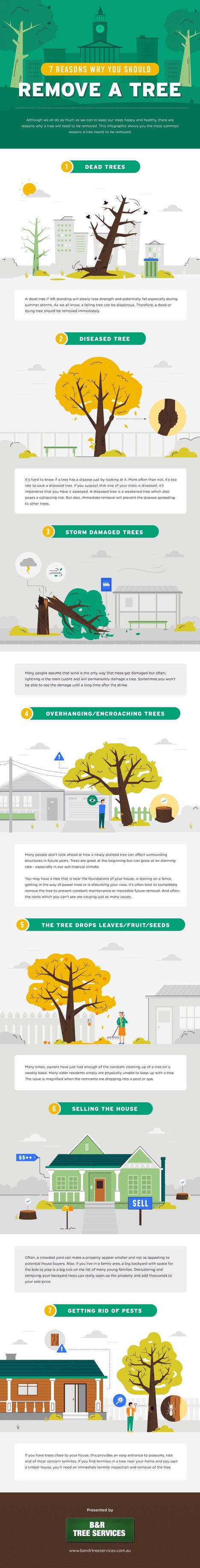 7 Reasons Why You Should Remove a Tree